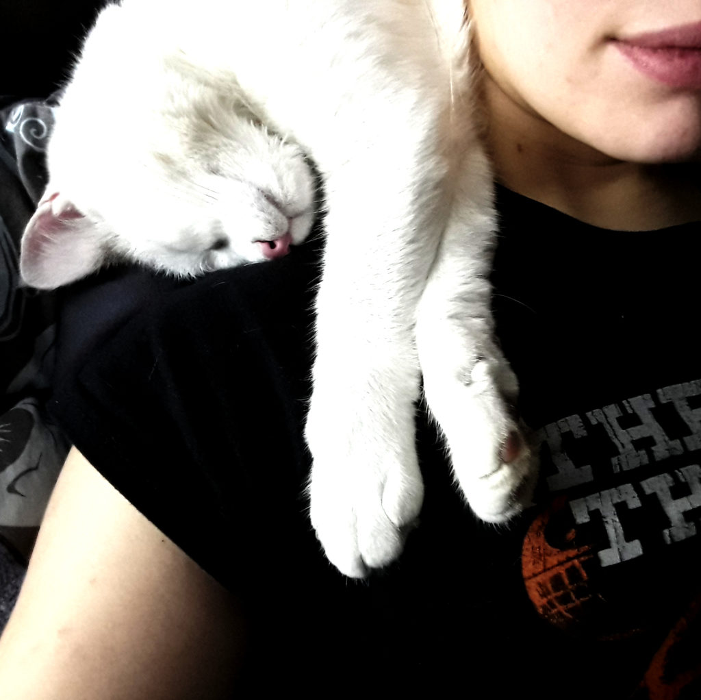 Seitlicher Bildausschnitt von Kinn und Schulter. Eine weiße Katze schläft auf der Schulter.