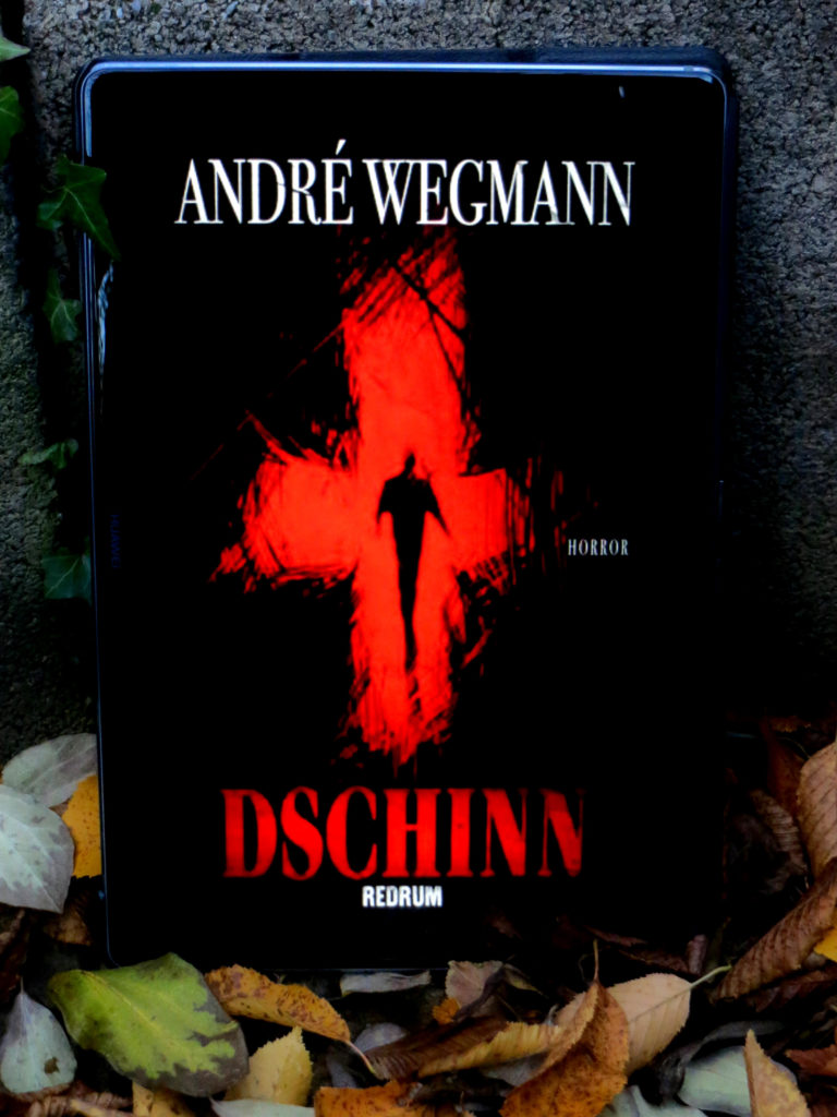 E-Book "Dschinn" von André Wegmann. Zu sehen auf einem Tablet, das an einer Steinwand lehnt, am Boden liegen herbstliche Blätter.